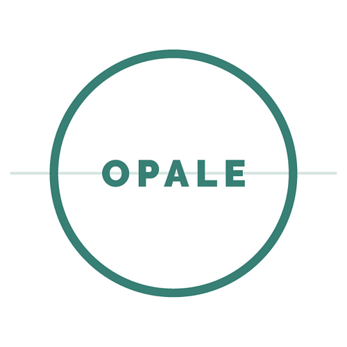SASU Opale Sas logo