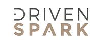 SARLU DrivenSpark logo