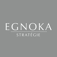 SAS Egnoka Stratégie logo