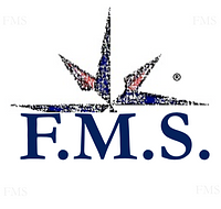 Limited Company F.M.S. Consulting S.R.L. logo