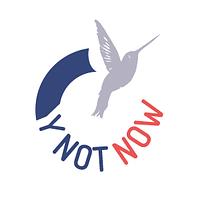 Public limited company Ynotnow Ltd logo