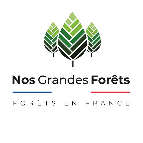 SAS Sas Ma Grande Foret logo